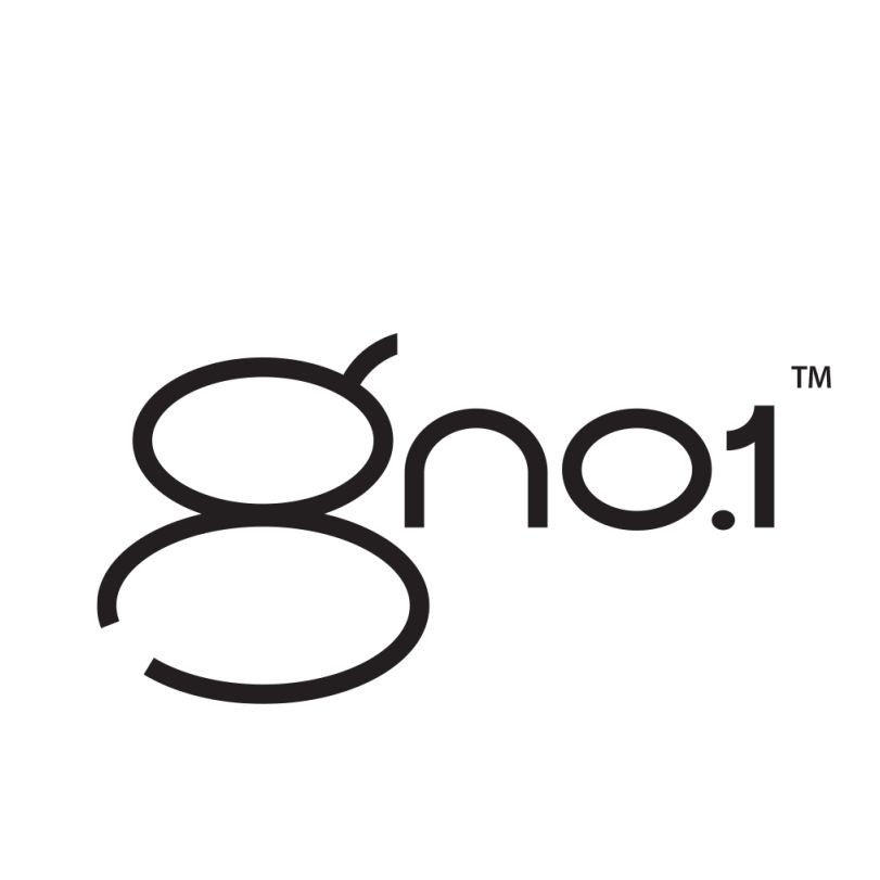 GNo.1